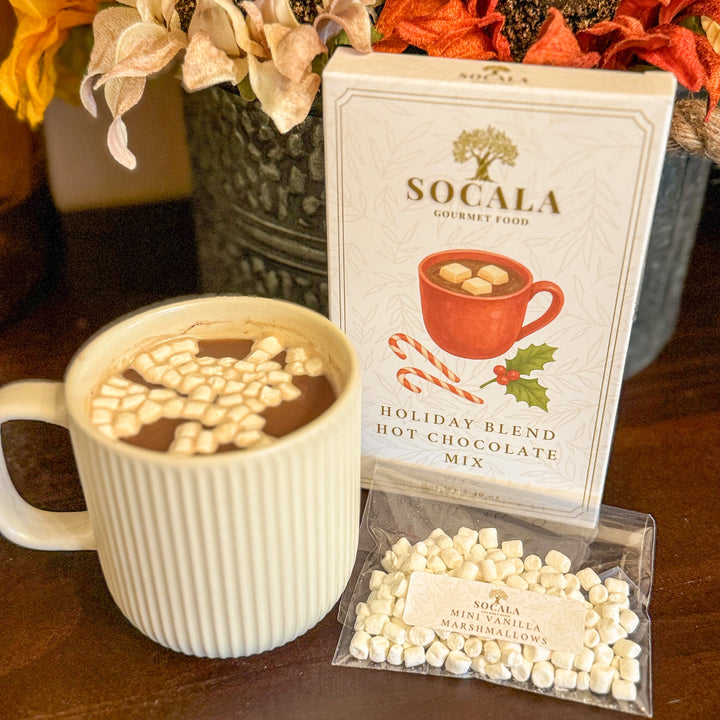 Holiday Gift Sets | Christmas Care Package with Cozy Blanket Basket